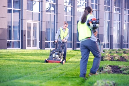 these are the 5 best commercial landscaping companies in Cleveland Ohio
