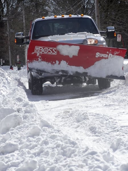 best commercial landscape companies offer year round services