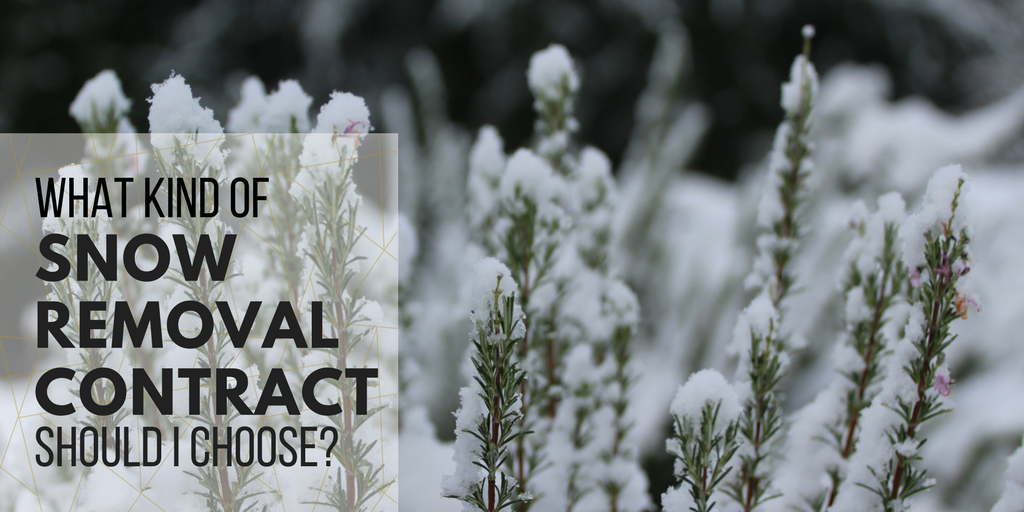 what kind of snow removal contract should I choose