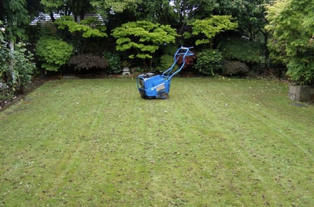 lawn aeration is one commercial lawn care service you should not overlook in Northeast Ohio Ohio lawn after being aerated