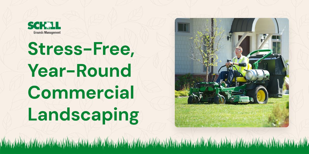 schilllandscaping.com logo